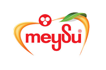 Meysu