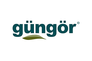 Güngör